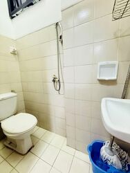 Seasons Park (D26), Condominium #597046111